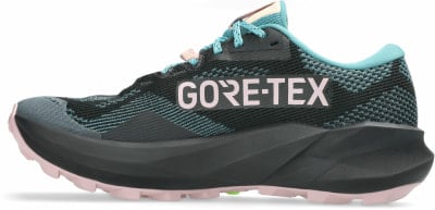Asics GEL-Trabuco 14 GTX Traillaufschuhe