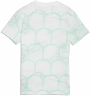 Puma ÖFB 2026 Culture T-Shirt