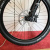 Nahaufnahme eines Mountainbike-Vorderrads mit Scheibenbremse und Schwalbe-Reifen.