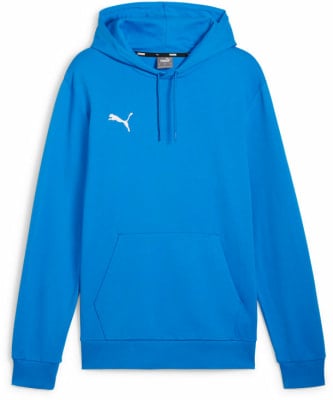 Puma teamGOAL Casuals Hoodie