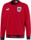 Österreich Ftbl Culture  Sweater