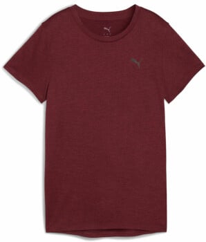 Puma Tad Essential Heather T-Shirt