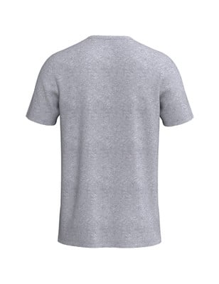 Rückansicht eines grauen Kurzarm-T-Shirts Rückansicht eines grauen Kurzarm-T-Shirts