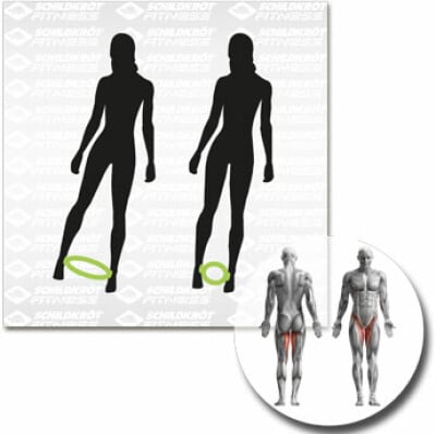 Schildkröt Pilates Ring