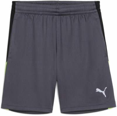 Puma IndividualFinal Trainingsshorts
