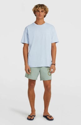 O'Neill O'riginals Cali T-Shirt