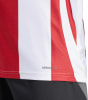adidas STRIPED 24 JSY Trikot AEROREADY