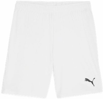 Puma teamGOAL Shorts