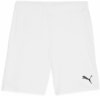 Puma teamGOAL Shorts