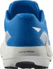 Salomon DRX DEFY Gravel Laufschuhe