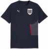 Puma ÖFB Pumatech Pocket T-Shirt