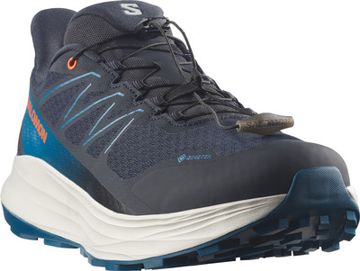 Blauer Salomon Wanderschuh mit Schnellverschluss und Gore-Tex-Membran. Blauer Salomon Wanderschuh mit Schnellverschluss und Gore-Tex-Membran.