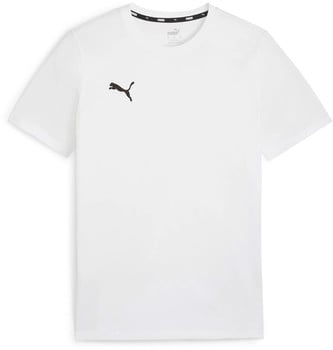 Puma teamGOAL Casuals T-Shirt