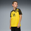 Puma BVB Home Jersey Replic Fantrikot mit Sponsor