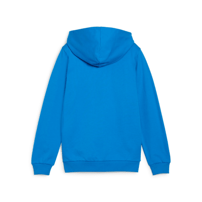 Puma teamGOAL Trainingsjacke mit Kapuze Puma teamGOAL Trainingsjacke mit Kapuze