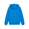 Puma teamGOAL Trainingsjacke mit Kapuze