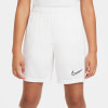 Nike Academy 21 Fußballshorts