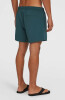 O'Neill Retro 14 Badeshorts
