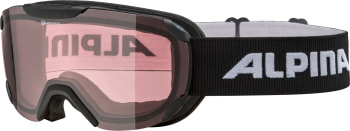 Alpina Thaynes Q Skibrille