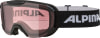 Alpina Thaynes Q Skibrille