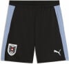 ÖFB 2026 Trainings Fussballshorts