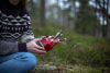Primus Firestick Stove Gaskocher