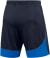 Academy Pro Shorts