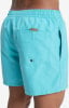 Quiksilver Solid Volley Badeshorts