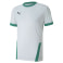 teamGOAL 23 Trainingsshirt