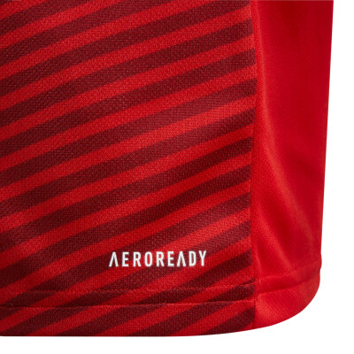 adidas FC Bayern München 21/22 Mini-Heimausrüstung