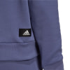 adidas Future Icons Hoodie