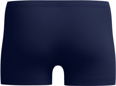 Speedo Medley Logo Aqua Badehose lang