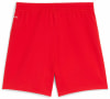 Puma FC Red Bull Salzburg 25/26 Shorts