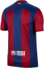 Nike FC Barcelona 2023/24 Heim-Fan-Trikot