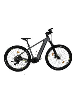 Graues Mountainbike mit schwarzen Rädern und grünen Akzenten.