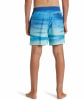 Quiksilver Everyday Fade Volley Badeshorts