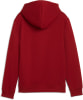 Puma Squad Hoodie