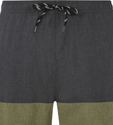Protest Prtfreddie Beachshort