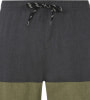 Protest Prtfreddie Beachshort