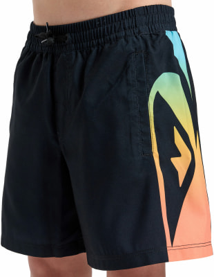 Quiksilver Everyday Holmes Badeshorts