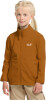 Jack Wolfskin Taunus 100 Fleecejacke