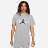 Nike Jordan Air Wordmark T-Shirt