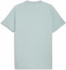 Puma ÖFB Pumatech Pocket T-Shirt