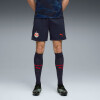 Puma FC Red Bull Salzburg 25/26 Fußballshorts
