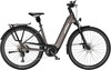 Graues KTM E-Bike mit Gepäckträger und Schutzblechen vor weißem Hintergrund.