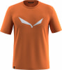 Salewa Solidlogo Dri-Rel T-Shirt