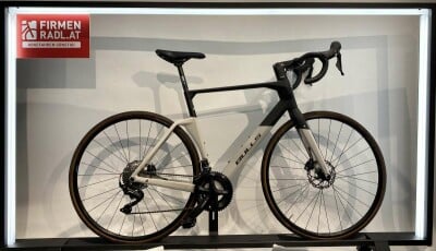 Bulls Bulls Alpine Hawk