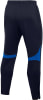 Nike Dri-FIT Academy Trainingshose