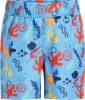 Firefly Tommy Badeshorts