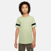 Nike Dri-Fit Acadmey Trainingstrikot
